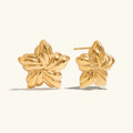 [Topon]Thymes Gold Star Earrings