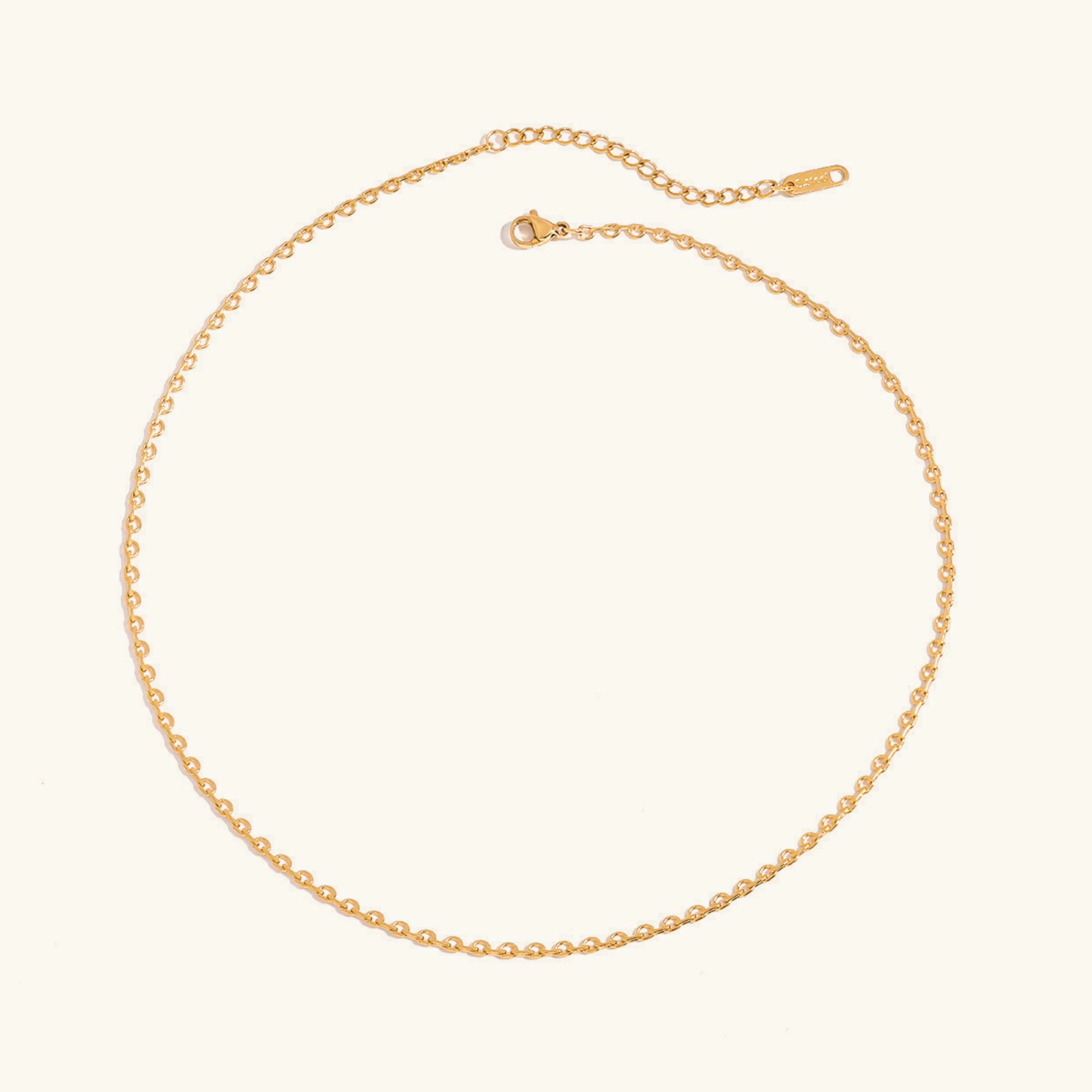 [Topon]Loraine Gold Chain Necklace
